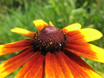 Similar image 1140650