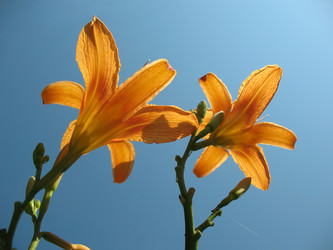 Similar image 1140651