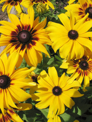 Similar image 1140656