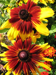 Similar image 1140657