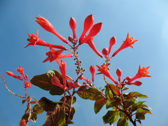 Similar image 1140659