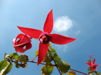 Similar image 1140660