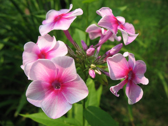 Similar image 1140661