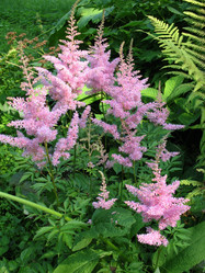 Similar image 1140664