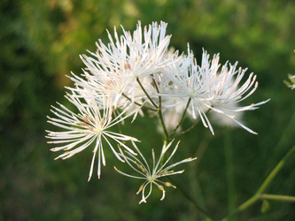 Similar image 1140666