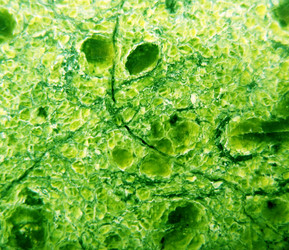 Similar image 1140668