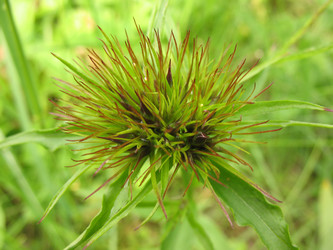 Similar image 1140680