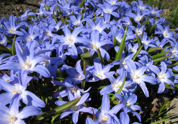 Similar image 1140681