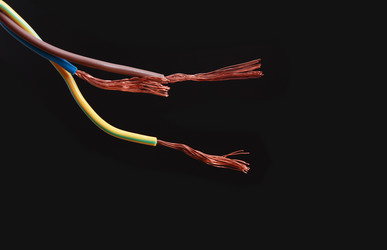 Similar image 1140991