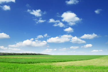 Similar image 1141061