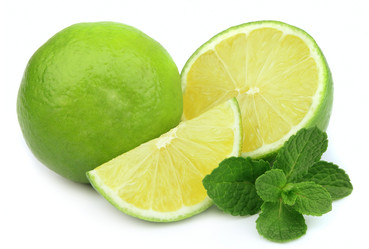 Similar image 1141112