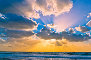 Similar image 1141155