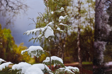 Similar image 1141160