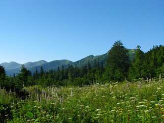 Similar image 1141166