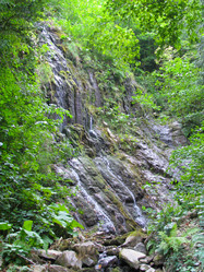 Similar image 1141168