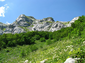 Similar image 1141169