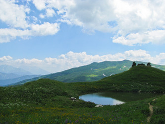 Similar image 1141174