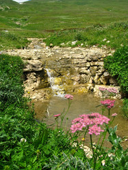 Similar image 1141175