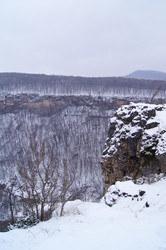 Similar image 1141177