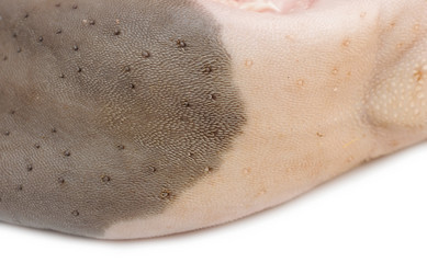 Similar image 1141207