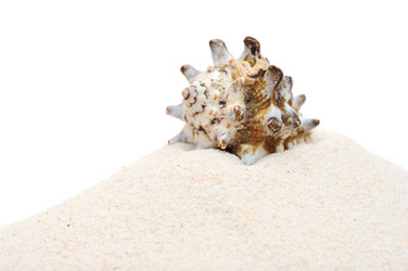 Similar image 1141213