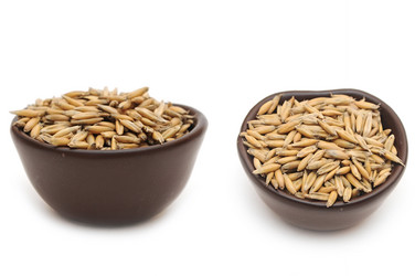 Similar image 1141217