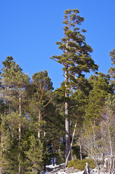 Similar image 1141253