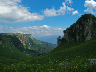 Similar image 1141255