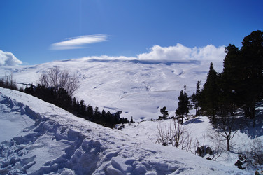 Similar image 1141257