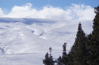 Similar image 1141258