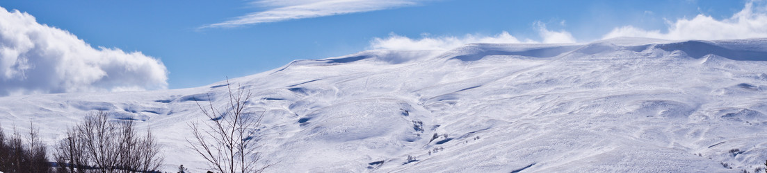 Similar image 1141259