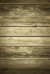 Similar image 1141323