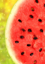 Similar image 1141383