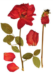 Similar image 1141390