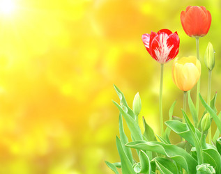 Similar image 1141403