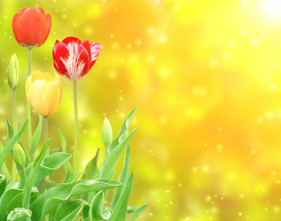 Similar image 1141404