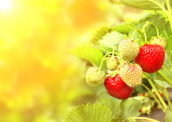 Similar image 1141406