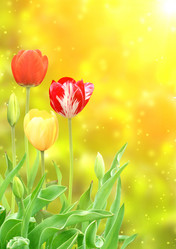 Similar image 1141411