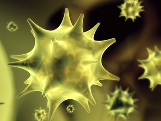 Similar image 1141428