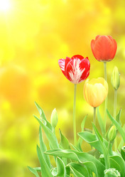 Similar image 1141444