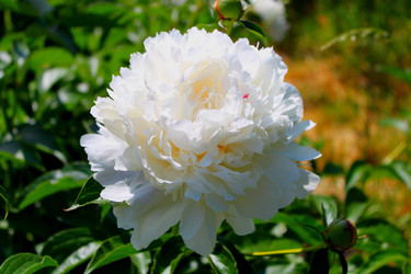 Similar image 1141477