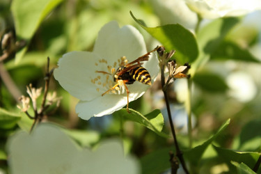 Similar image 1141478