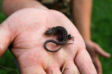 Similar image 1141480