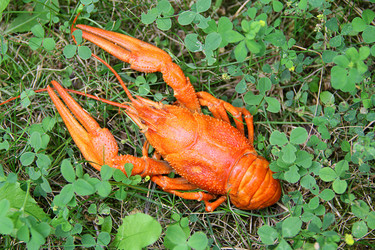 Similar image 1141520