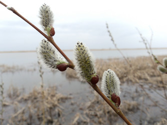 Similar image 1141521