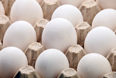 Similar image 1141548