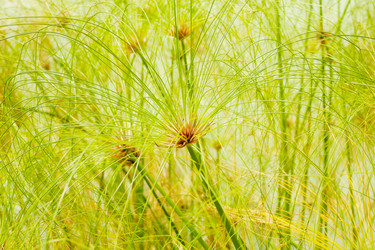 Similar image 1141725