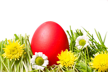 Similar image 1142065