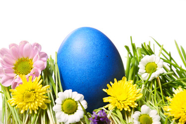 Similar image 1142066