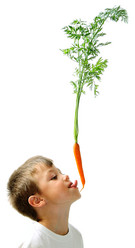 Similar image 1142073